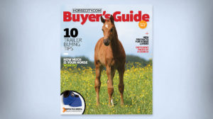 Horsecity.com Buyers Guide Catalog Design
