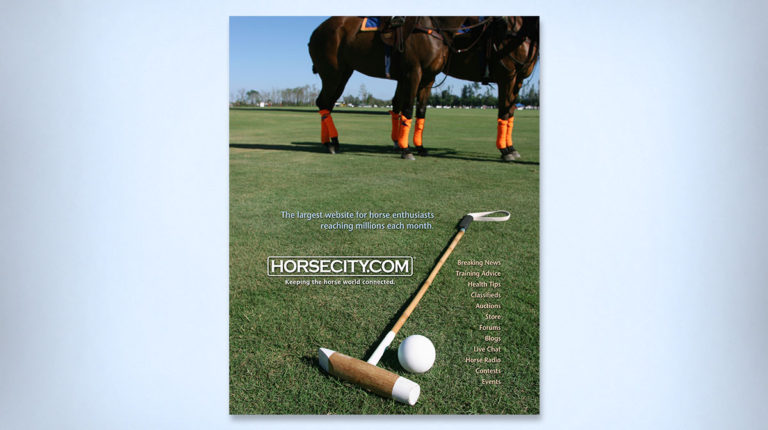 Horsecity.com Polo Ad