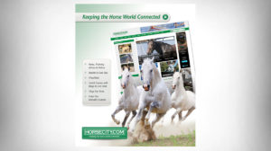Horsecity.com Ad Design
