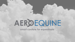 AeroEquine Branding