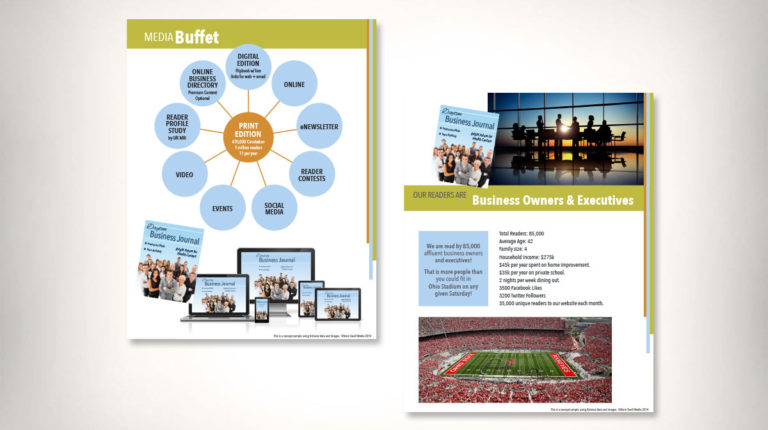 Sell Sheet for Brain Swell Media Sales Consulting