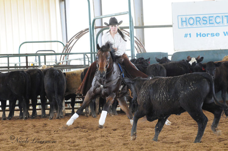 Western Cutting Horse